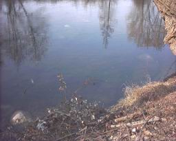 Inquinamento 24-02-05 009.jpg